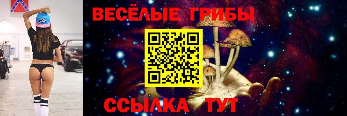 Псилоцибиновые грибы прущие грибы  Вход с VPN  Ковров 
