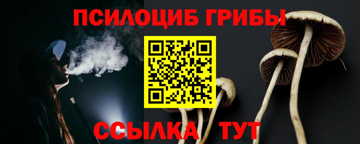 Галлюциногенные грибы прущие грибы Ковров